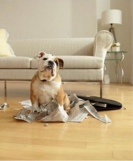 �������Д[�O(sh��)��(y��ng)ԓ�M������һЩ���F�ء���Ʒ