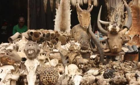 ȫ����׃�B��10���ط�����^������ȥ��